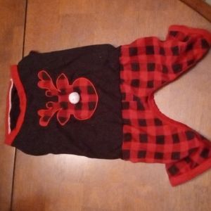 Dog Christmas outfit